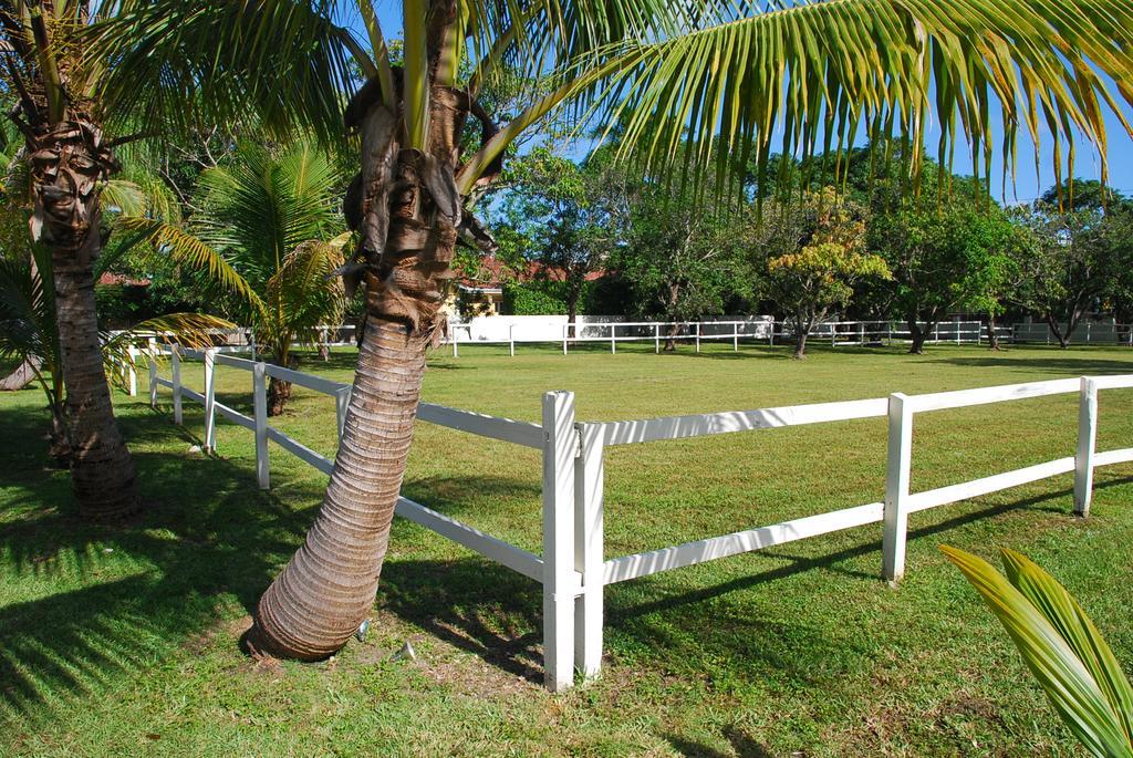 Hébergement de vacances La Miami